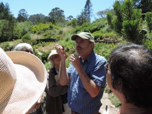 Liam O'Brien leads a butterfly tour for docents Photo by Linda Blide